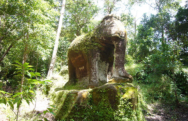 The-Hidden-Litchi-Mountain-1