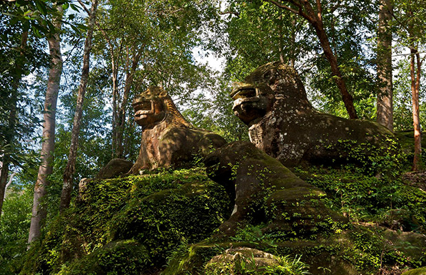The-Hidden-Litchi-Mountain-2