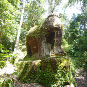 The Hidden Litchi Mountain