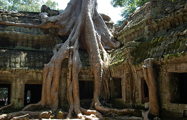 temple-of-angkor-b-3