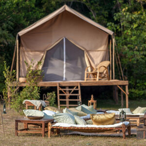 A Night Out in our Jungle Luxury Tent Camp