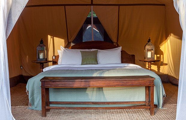 A-Night-Out-in-our-Jungle-Luxury-Tent-Camp-5