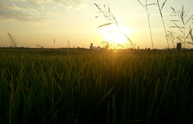 Chill-out-Sunset-Champagne-8