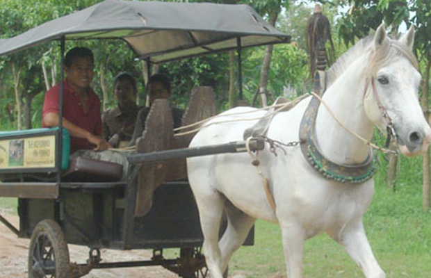 Countryside-Horse-Rides-2