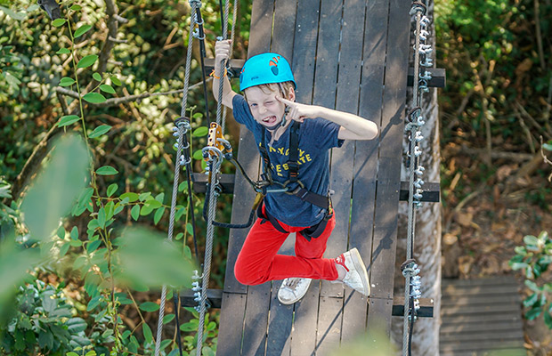 Treetop-Adventure-5