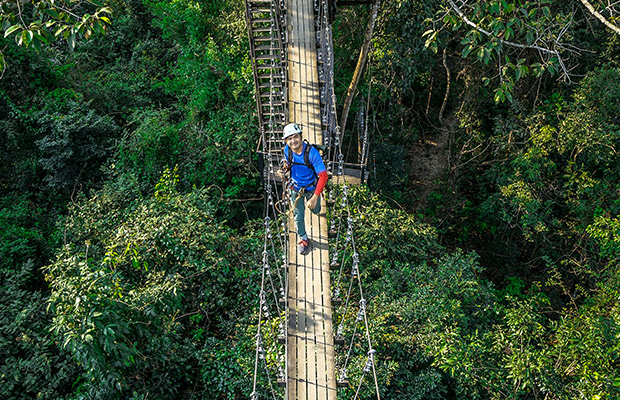 Treetop-Adventure-6